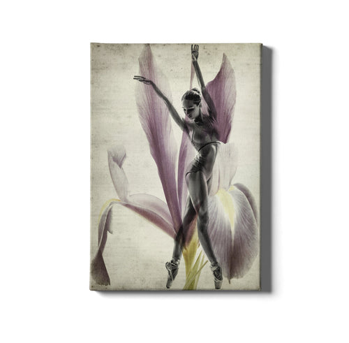 Tablou Canvas Ballet Iris Multicolor & OYOTR-SL_tablou_208M & OYOTR-SL_tablou_208M