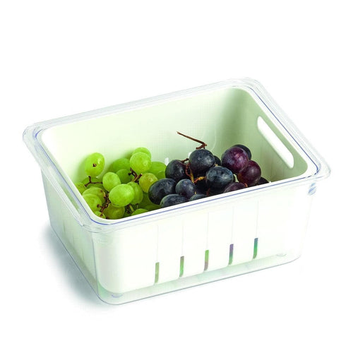 Cutie depozitare pentru frigider, din plastic, Freeze Alb, L22,5xl17,5xH10 cm (1)