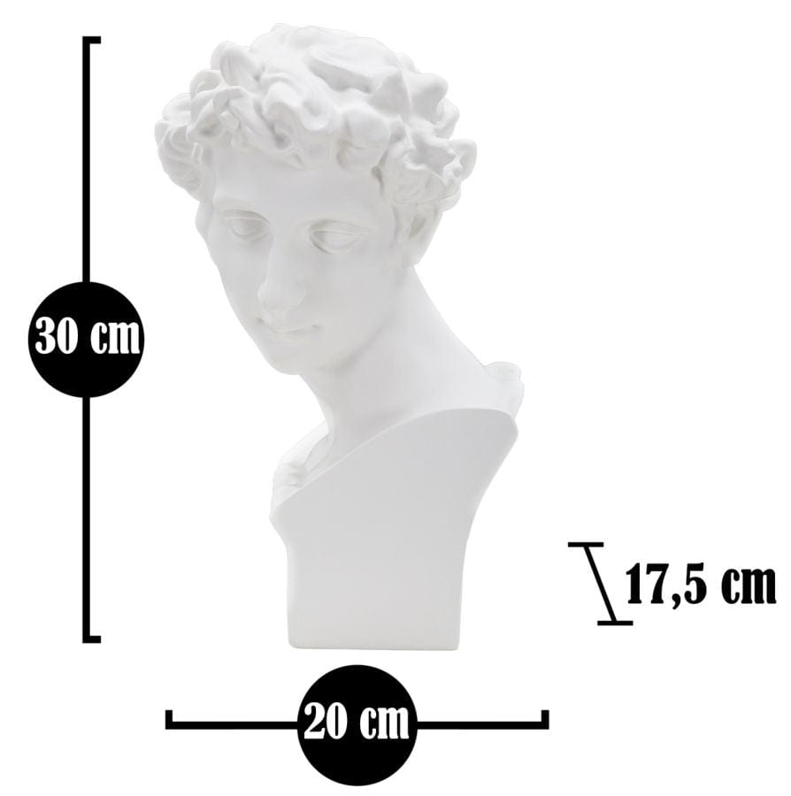 Decoratiune din polirasina Young Roman Alb, L20xl17,5xH30 cm (5)