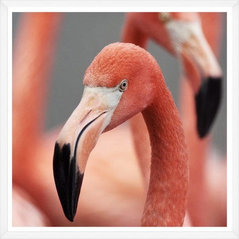 Tablou 2 piese Framed Art Flamingo Heads (2)
