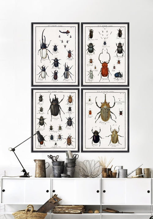 Tablou Framed Art Entomology I (1)