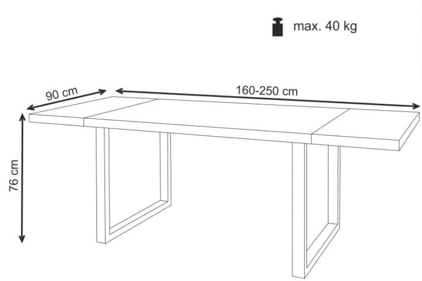 Masa extensibila din lemn, furnir si metal, Patwin Stejar Deschis / Negru, L160-250xl90xH76 cm (14)