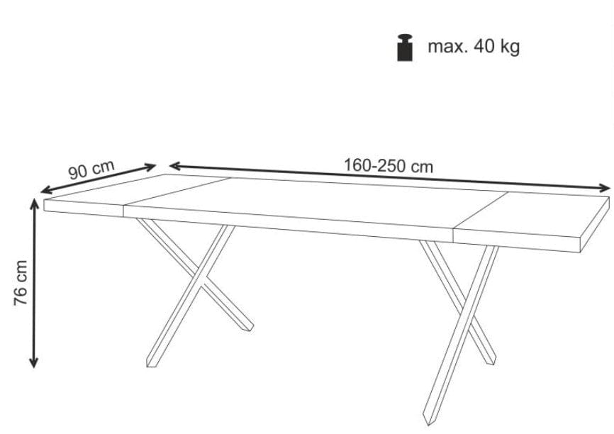 Masa extensibila din lemn, furnir si metal, Xenos Stejar Deschis / Negru, L160-250xl90xH76 cm (14)