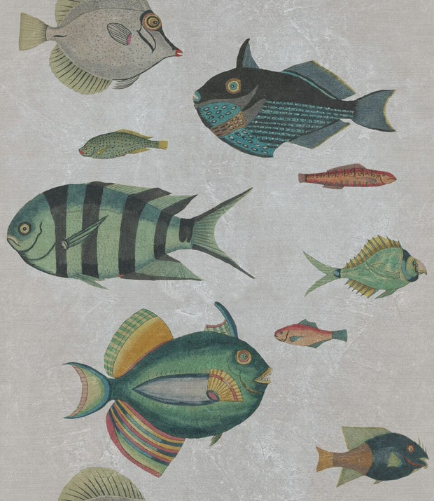 Global Art Set 3 role Tapet Imprimat Digital Poissons Grey