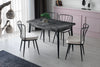 Set 2 scaune tapitate cu stofa si picioare metalice, Yildiz 186 Velvet Gri Deschis / Negru, l43xA42xH82 cm (1)