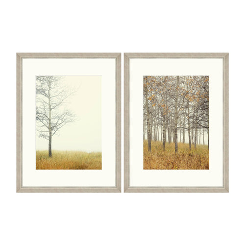 Tablou 2 piese Framed Art Autumn Forest