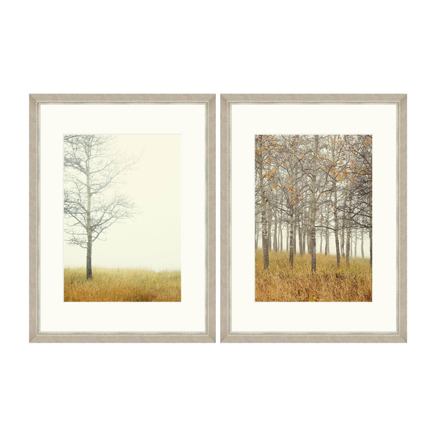 Global Art Tablou 2 piese Framed Art Autumn Forest