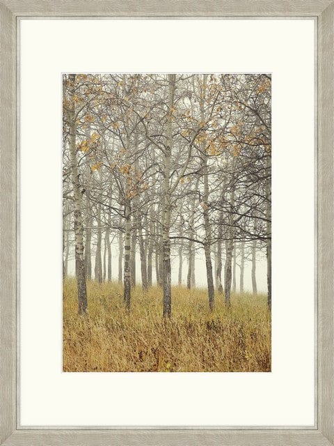 Global Art Tablou 2 piese Framed Art Autumn Forest