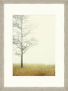 Global Art Tablou 2 piese Framed Art Autumn Forest