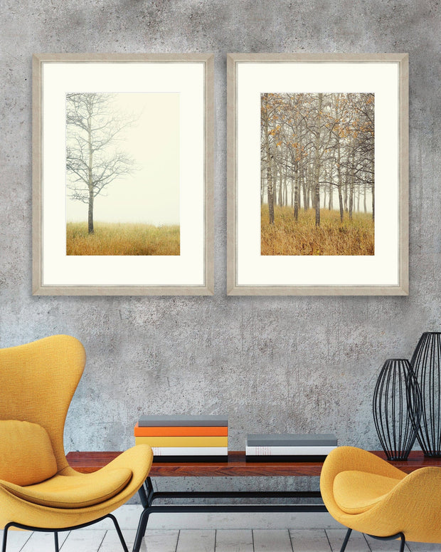 Global Art Tablou 2 piese Framed Art Autumn Forest