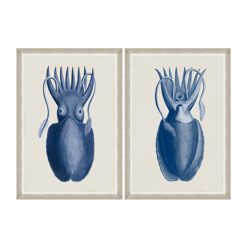 Global Art Tablou 2 piese Framed Art Cuttlefish On Blue