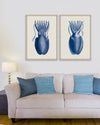 Tablou 2 piese Framed Art Cuttlefish On Blue (1)