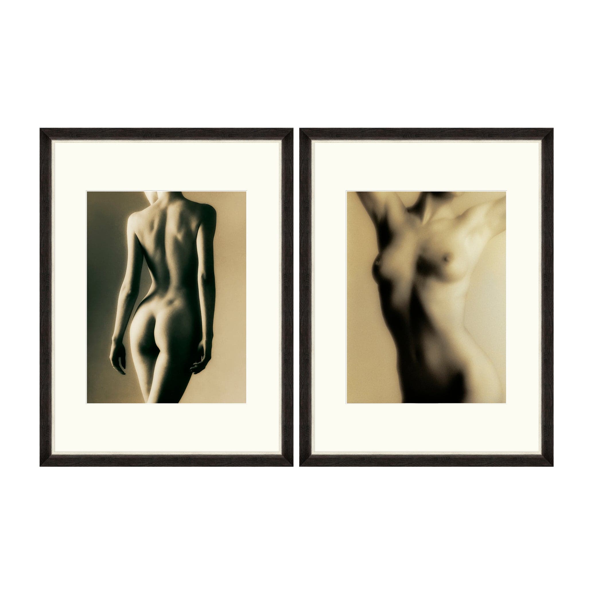 Tablou 2 piese Framed Art Female Body