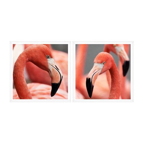 Global Art Tablou 2 piese Framed Art Flamingo Heads