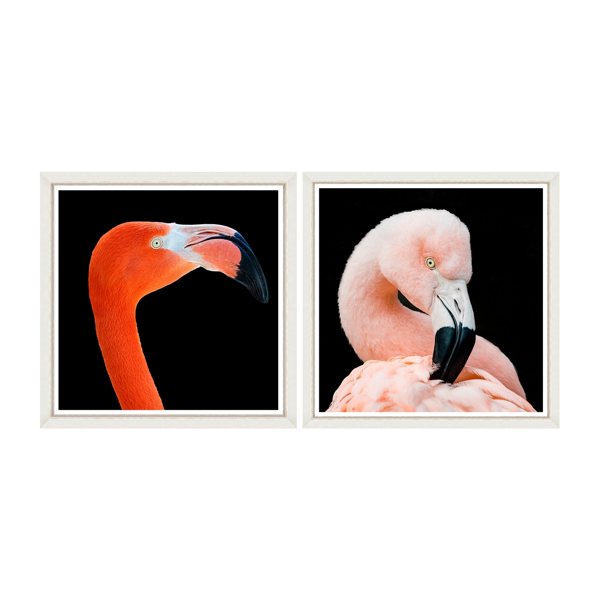 Tablou 2 piese Framed Art Flamingos