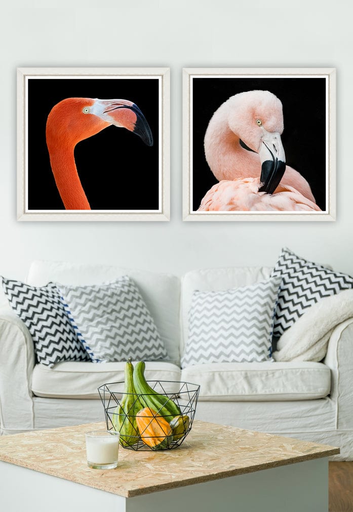 Global Art Tablou 2 piese Framed Art Flamingos