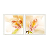 Tablou 2 piese Framed Art Orchid Close-up