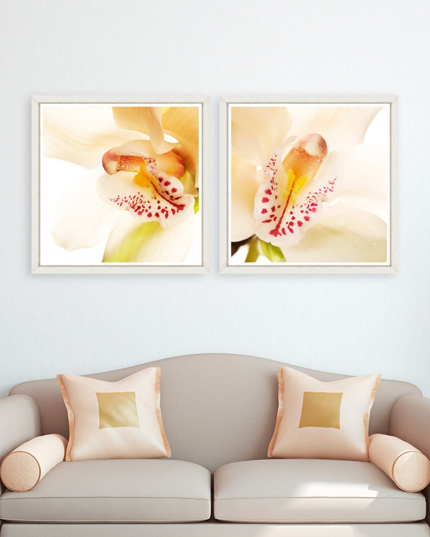 Tablou 2 piese Framed Art Orchid Close-up (3)