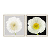 Tablou 2 piese Framed Art Poppy & Ranunculus