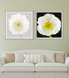 Tablou 2 piese Framed Art Poppy & Ranunculus (3)