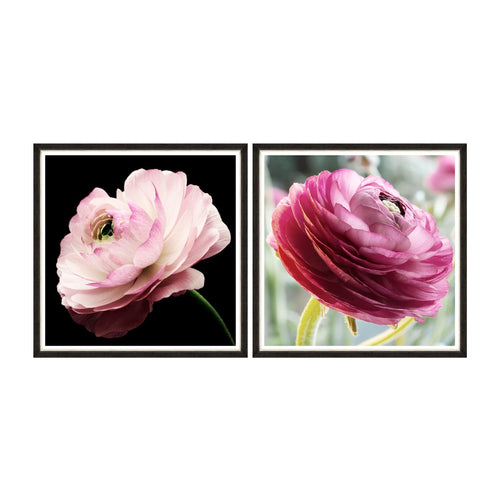 Tablou 2 piese Framed Art Splendid Ranunculus