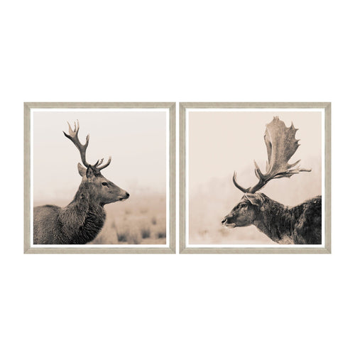 Global Art Tablou 2 piese Framed Art Stag Portraits