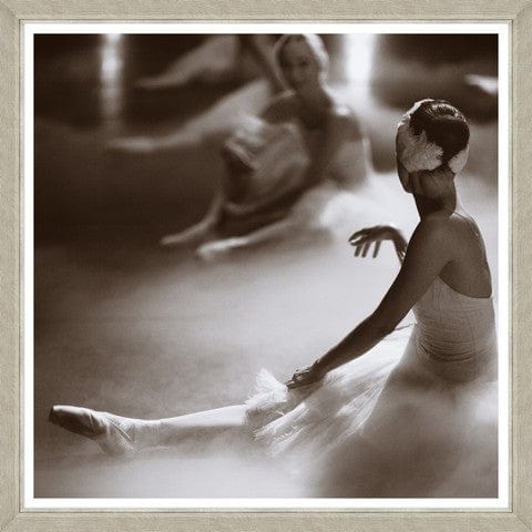 Tablou 2 piese Framed Art Swan Lake (2)