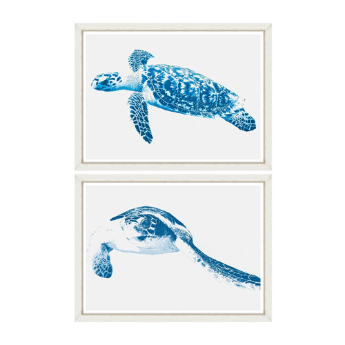 Global Art Tablou 2 piese Framed Art Turtles