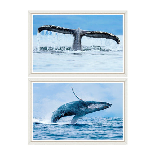 Global Art Tablou 2 piese Framed Art Whales