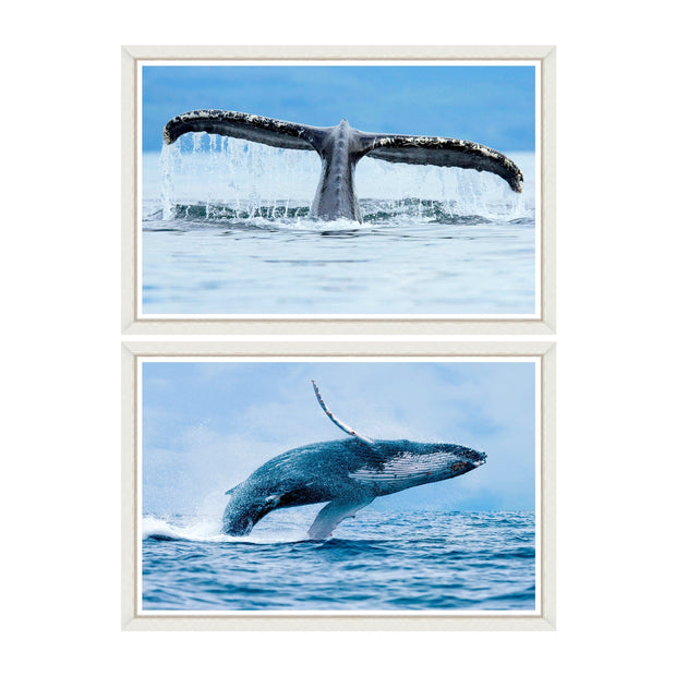 Tablou 2 piese Framed Art Whales