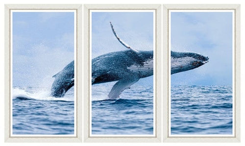 Global Art Tablou 3 piese Framed Art The Whale Triptych