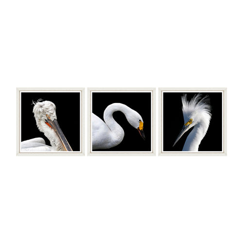 Global Art Tablou 3 piese Framed Art White Birds