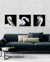 Tablou 3 piese Framed Art White Birds (4)