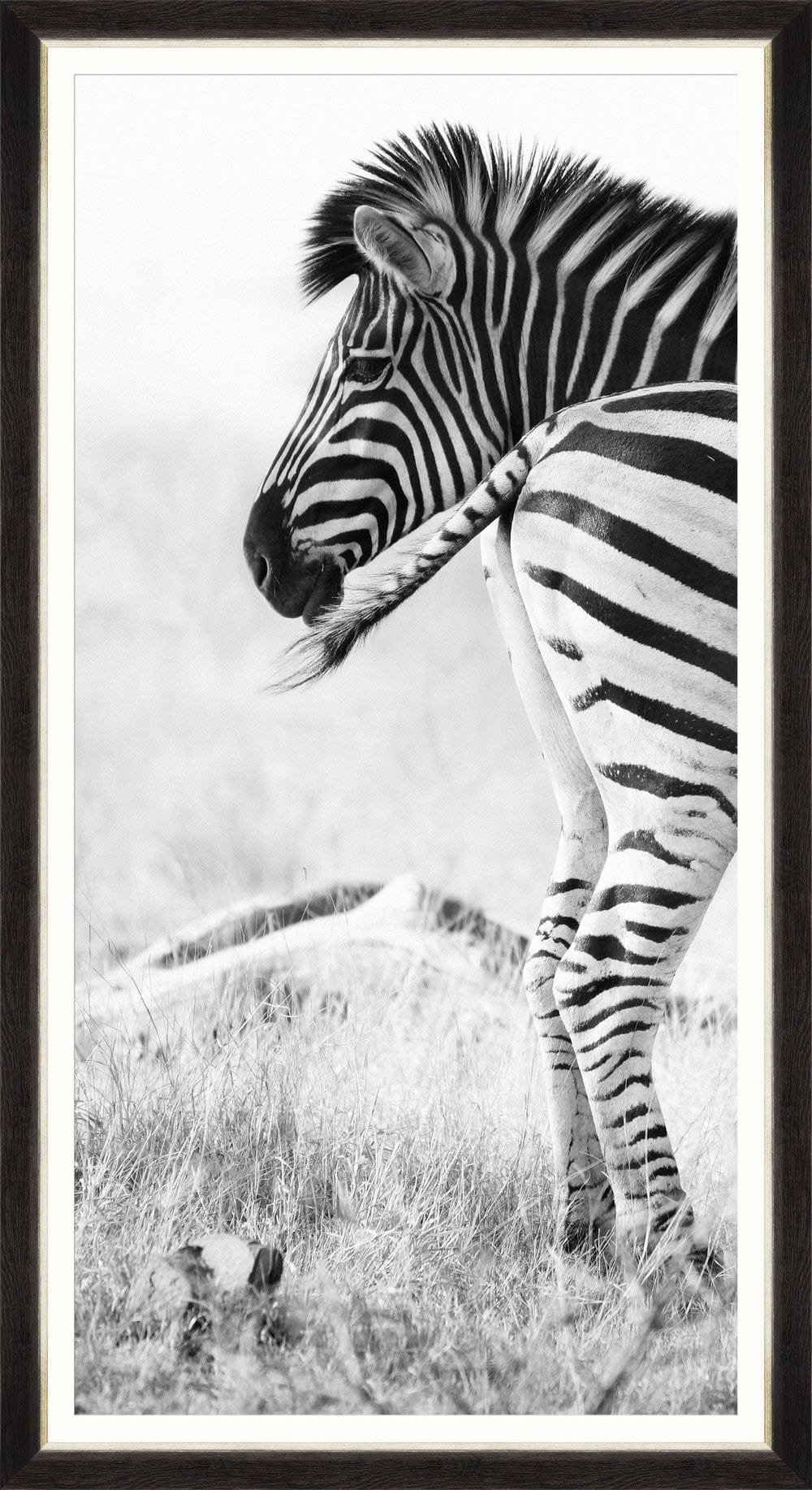 Tablou 3 piese Framed Art Zebra Pair (3)