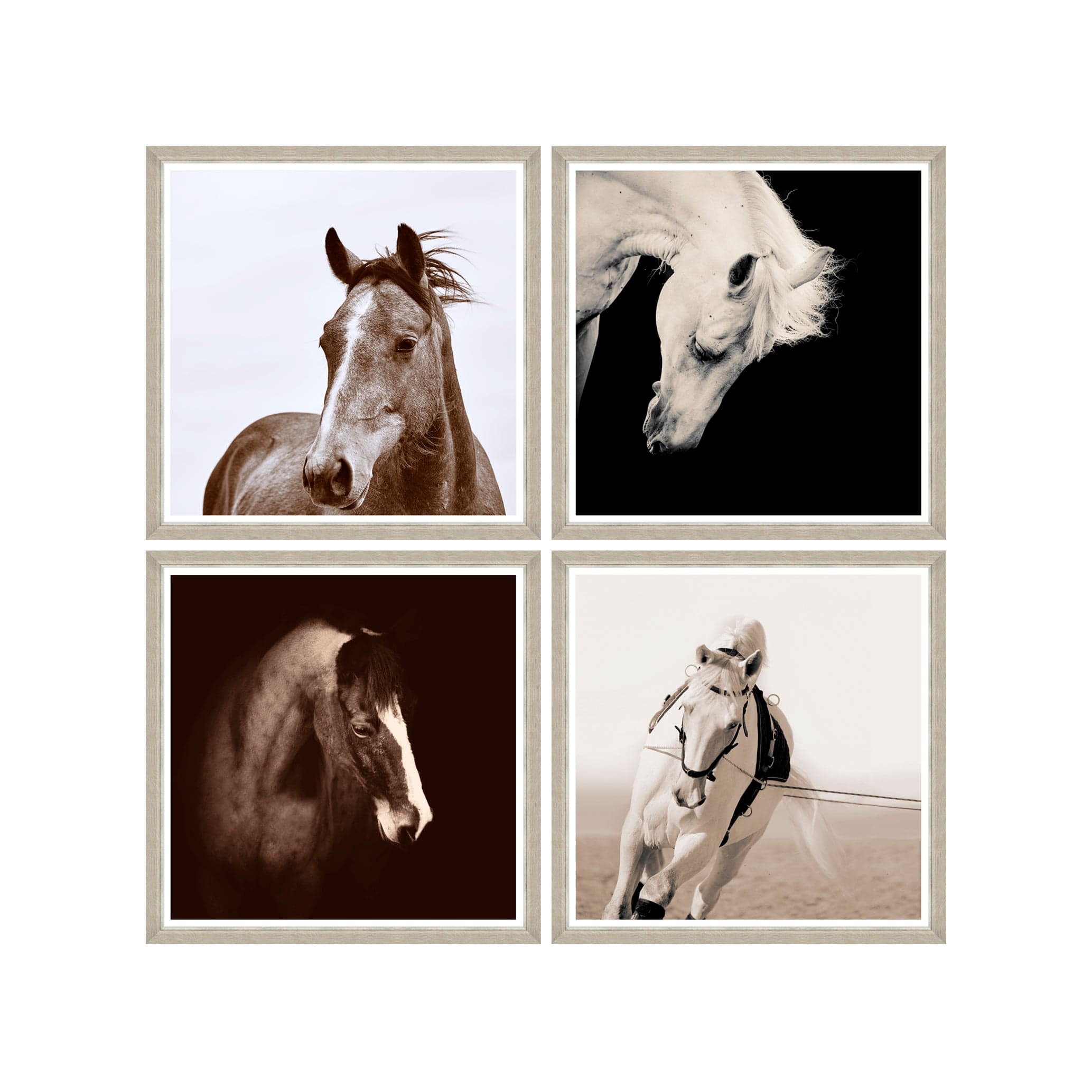 Tablou 4 piese Framed Art Horse Portraits