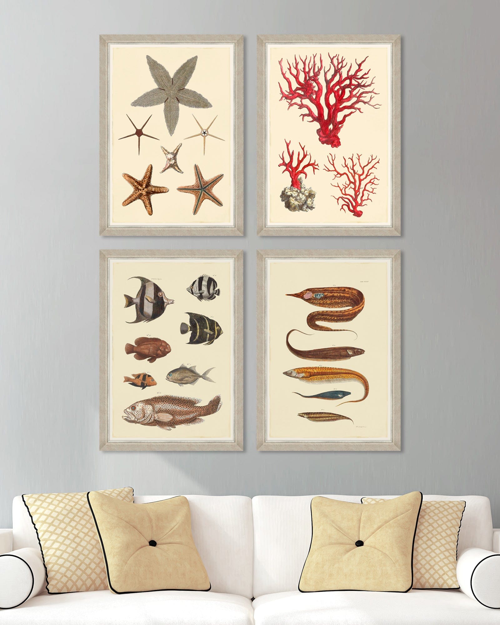 Tablou 4 piese Framed Art Marine Life Plates (5)