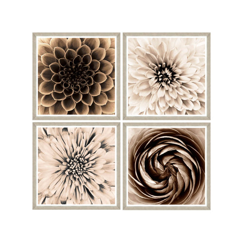 Global Art Tablou 4 piese Framed Art Sepia Dahlias