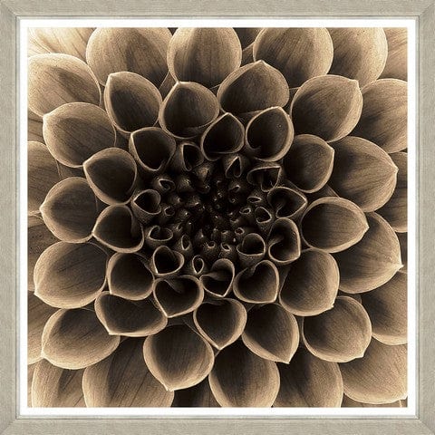 Tablou 4 piese Framed Art Sepia Dahlias (2)