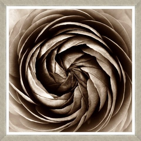 Tablou 4 piese Framed Art Sepia Dahlias (3)