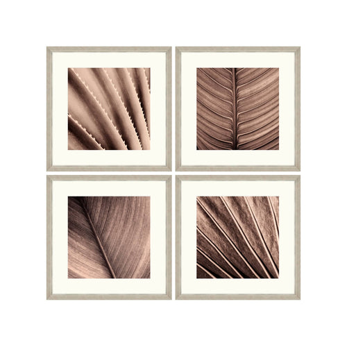 Global Art Tablou 4 piese Framed Art Sepia Palm Texture