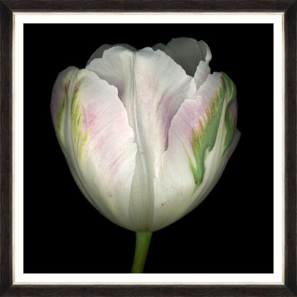 GAPART-TABLOU-BEAUTIFUL-TULIP-IV