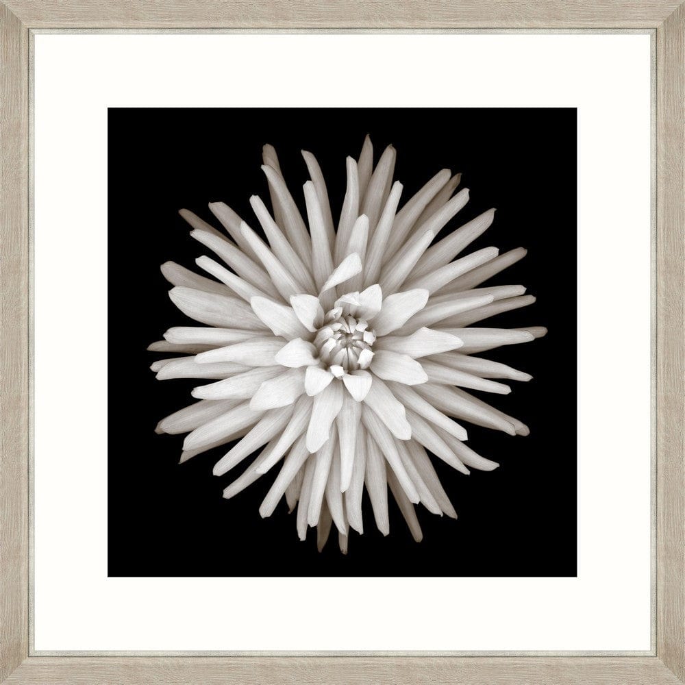 Tablou Framed Art Cactus Dahlia