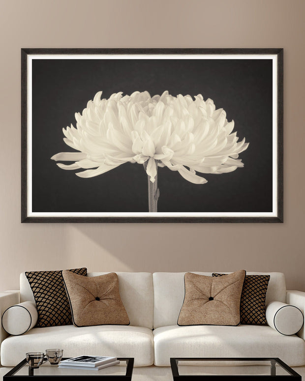 Tablou Framed Art Dahlia Blossom (1)