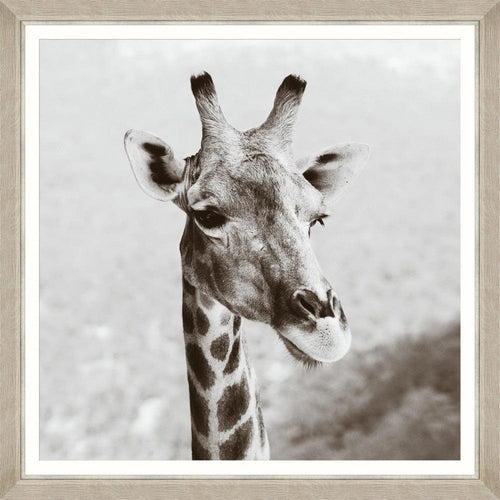 Tablou Framed Art Giraffe Head