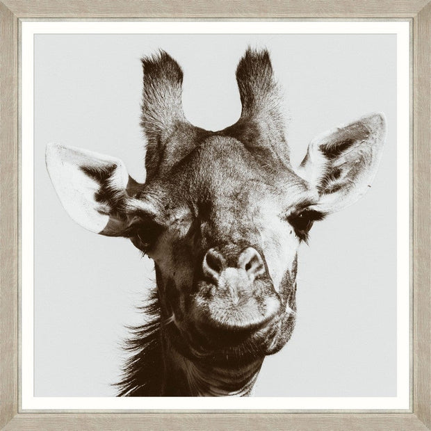 Tablou Framed Art Giraffe Portrait