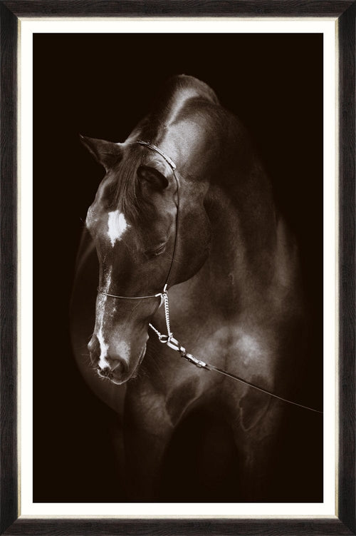 Tablou Framed Art Horse Resting