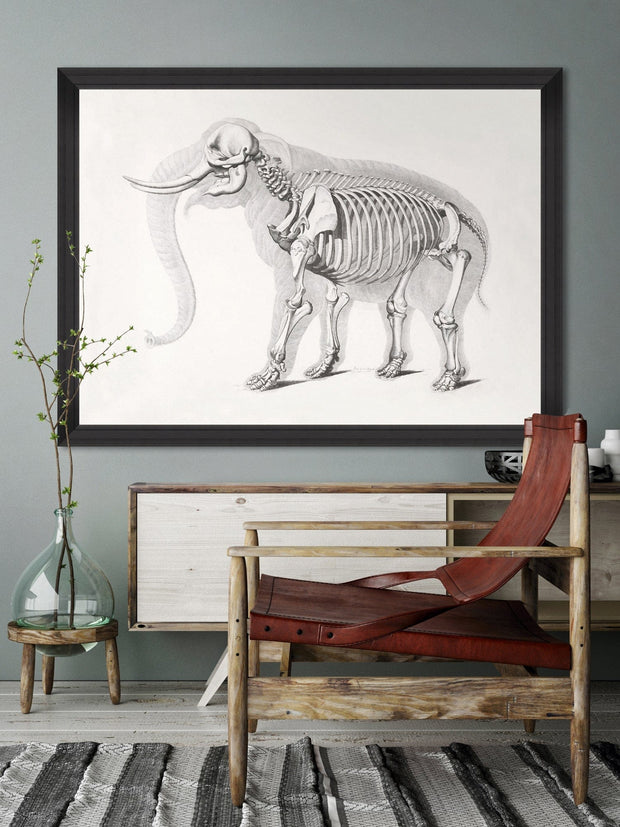 Tablou Framed Art Mammoth Skeleton (1)