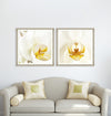 Tablou Framed Art Orchid Bloom II (1)