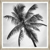 Tablou Framed Art Palm Splendor I