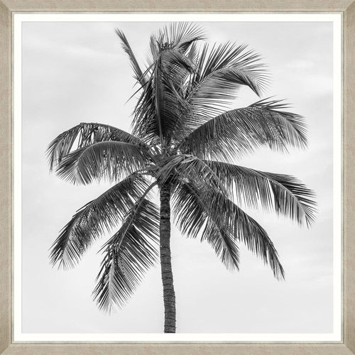 Tablou Framed Art Palm Splendor II